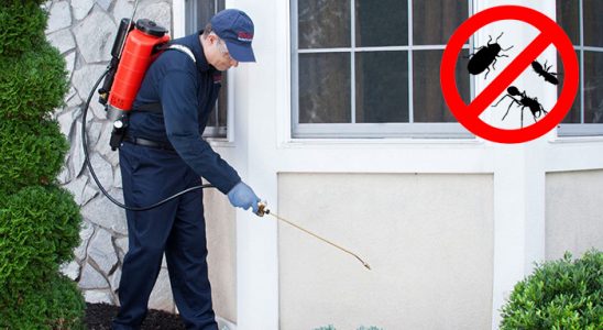 Çaybaşı Kemirgen İlaçlama böcek ilaçlama ve haşere kontrolü — ilaclama-tr.com